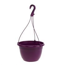 categorie Hangende Plantenpot