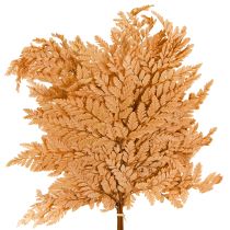 categorie Boomtakken, staven & takken