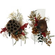 categorie Grave voorwaarden