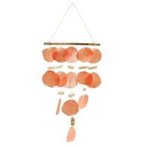 categorie Seashell decoratie