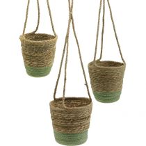 categorie Hangende Plantenpot