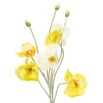 categorie Tuinbloem & Weidebloem