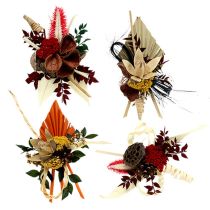 categorie Grave voorwaarden