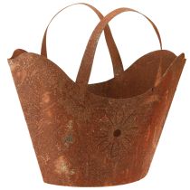 categorie Tuindecoratie roest