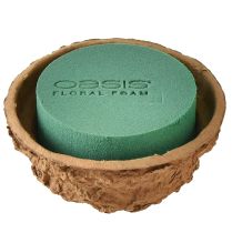 categorie Steekschuim ronde vormen