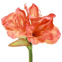 categorie Zijden bloemen en sparren