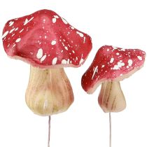 categorie Loof, bladeren en paddestoelen