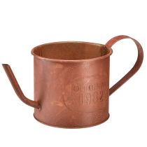 categorie Tuindecoratie roest