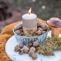 Herfstdecoratie