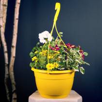 Artikel Bloemenhangmand 25cm wit