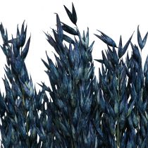 Gedroogde Bloemen, Haver Gedroogde Granen Deco Blauw 68cm 230g