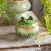 Artikel Decoratief kikkerfiguurtje voor een speelse huis- en tuindecoratie, groen, 11 cm, 2 stuks
