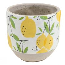 Plantenbak keramiek citroen sier bloempot zomer H17cm