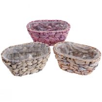 Artikel Plantenmand zeegrasmand waterhyacint plantenbak ovaal 20,5cm 3 st