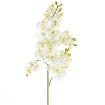 Phalaenopsis Kunst Orchideeën Kunstbloemen Wit 70cm