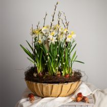 Artikel Ronde plantenbak, bloemdecoratie, plastic schaal, bakje voor arrangementen groen, wit gevlekt H8,5cm Ø30cm