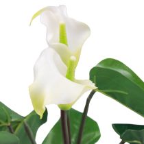 Artikel Calla Lelie Kalla Kunstbloemen Witte Exotische Bloemen 34cm