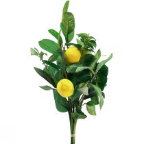 Artikel Decoratieve takken Mediterrane decoratieve citroenen kunstmatig 50cm