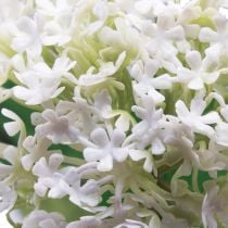 Artikel Kunstbloem sneeuwbalplant Virburnum wit Ø8cm 64cm