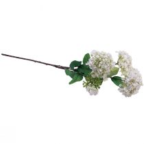Artikel Kunstbloem sneeuwbalplant Virburnum wit Ø8cm 64cm