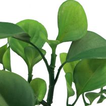 Artikel Groene kunstplant vetplant kunstgroen H14cm