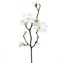 Kunstbloem magnolia tak magnolia kunstwit 58cm