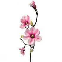 Artikel Kunstbloem Magnolia Tak Magnolia Kunstmatig Roze 59cm 3st