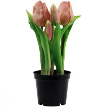 Artikel Kunsttulpen in pot Tulpen Perzik kunstbloemen 22cm