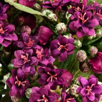 Artikel Flaming Käthchen Kalanchoë kunstpaars 24cm