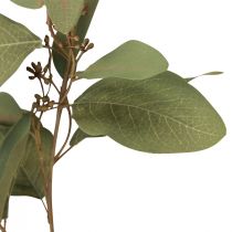 Artikel Eucalyptustak kunst siertak groen 60cm