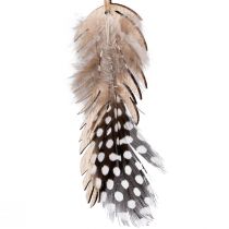 Artikel Decoratieve verenhanger houten natuurlijke veer 9,5/10cm 9 st