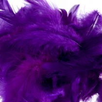 Artikel Decoratieve veren klein echte vogelveren decoratief paars 5-10cm 10g