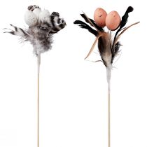 Artikel Kunstkwarteleitjes decoratieve veren op stok 36cm 12st