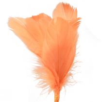 Artikel Decoratieve veren oranje vogelveren op stok 36cm 12st