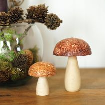 Artikel Houten paddenstoelen decoratieve paddenstoelen tafeldecoratie herfstbruin naturel 5×6cm 8 st