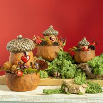 Artikel Lantaarn eikelbruin, 15,4 cm - Rustieke herfstdecoratie met hartmotief