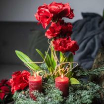 Amaryllis kunst rood 3 zijden bloemen op mosballen H64cm