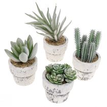 Succulenten in pot kunstplanten groen Ø4cm 12st