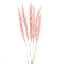 Pampasgras deco, pampasgras gedroogd pampasgras roze 72cm 6st