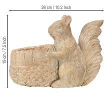 Artikel Bloempot met eekhoorn gegoten stenen decoratie 26×14×19cm
