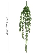 Artikel Hangende slinger van kunstplanten met vetplanten als decoratie voor de woonkamer