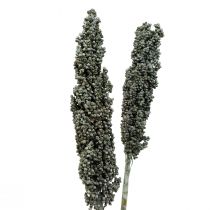 Artikel Droogbloemen sorghum gierst blauwgroen droogbloemisterij 72cm 3 st