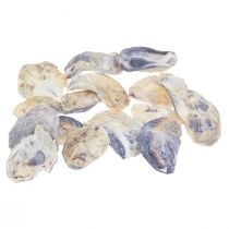 Oesterschelpen deco schelpen decoratie naturel 2-6cm 250g