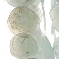 Capiz windgong hangende decoratie schelp decoratie groen Ø29cm 160cm