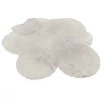 Capiz schelpen parelmoer schijven maritieme decoratie Ø7cm 600g