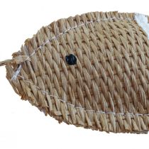 Hangdecoratie deco vis om op te hangen maritieme decoratie gestreept 14,5×6cm