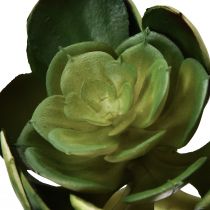 Artikel Kunstvetplant Echeveria kunstplant groen Ø7cm