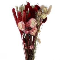 Artikel Droogbloemenboeket strobloemen Phalaris rood 30cm
