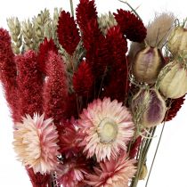 Artikel Droogbloemenboeket strobloemen Phalaris rood 30cm