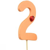 Artikel Aantal pluggen verjaardag 2 bloempluggen hout 27,5cm 16 st